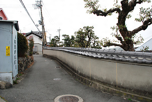 藤井家住宅東門及び土塀