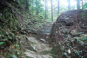 伊予遍路道<br />
　観自在寺道<br />
　稲荷神社境内及び龍光寺境内<br />
　仏木寺道<br />
　明石寺境内<br />
　大寶寺道<br />
　大寶寺境内<br />
　岩屋寺道<br />
　岩屋寺境内<br />
　浄瑠璃寺道<br />
　浄瑠璃寺境内<br />
　浄土寺境内<br />
　繁多寺境内<br />
　横峰寺道<br />
　横峰寺境内<br />
　三角寺奥之院道