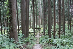 山王坊遺跡