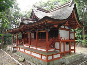 金剛寺 鎮守丹生高野明神社本殿