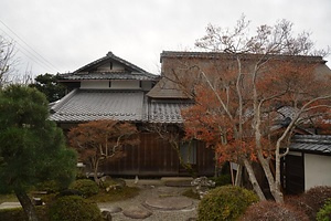 松樹館新建