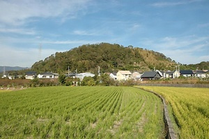 湯浅党城館跡<br />
　湯浅城跡<br />
　藤並館跡