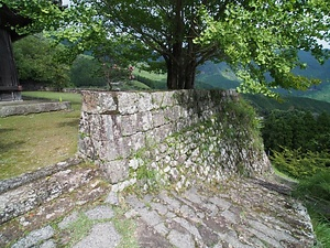 楞厳寺石段及び石垣