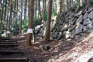 烏山城跡