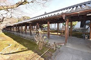 東福寺通天橋南歩廊