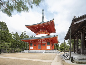 金剛峯寺金堂及び根本大塔 根本大塔