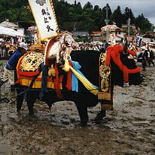 壬生の花田植