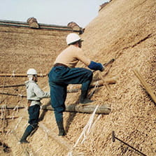 伝統建築工匠の技：木造建造物を受け継ぐための伝統技術